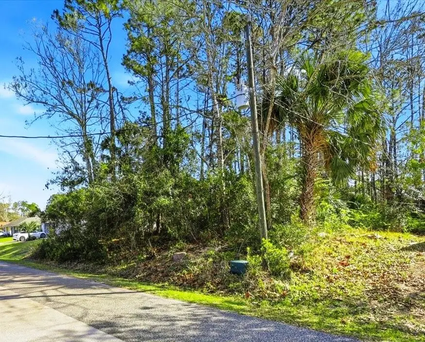 40 Brushwood Lane, Palm Coast, FL 32137 - #1