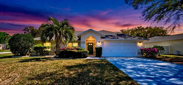 3 Saw Mill Court, PALM COAST, FL 32164