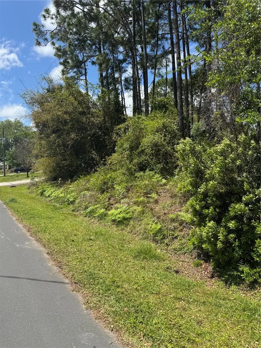19 Bassett Lane, Palm Coast, FL 32137 - #1