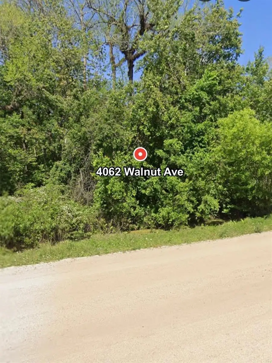 4062 Walnut Avenue, Bunnell, FL 32110 - #1