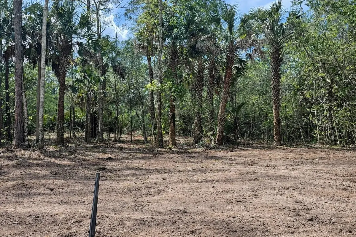 2216 Laurel Avenue, Bunnell, FL 32110 - #1