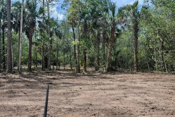 2216 Laurel Avenue, BUNNELL, FL 32110