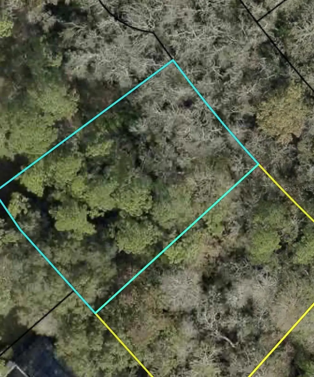 Xxx Z Section Drop Lot, Palm Coast, FL 32164 - #1