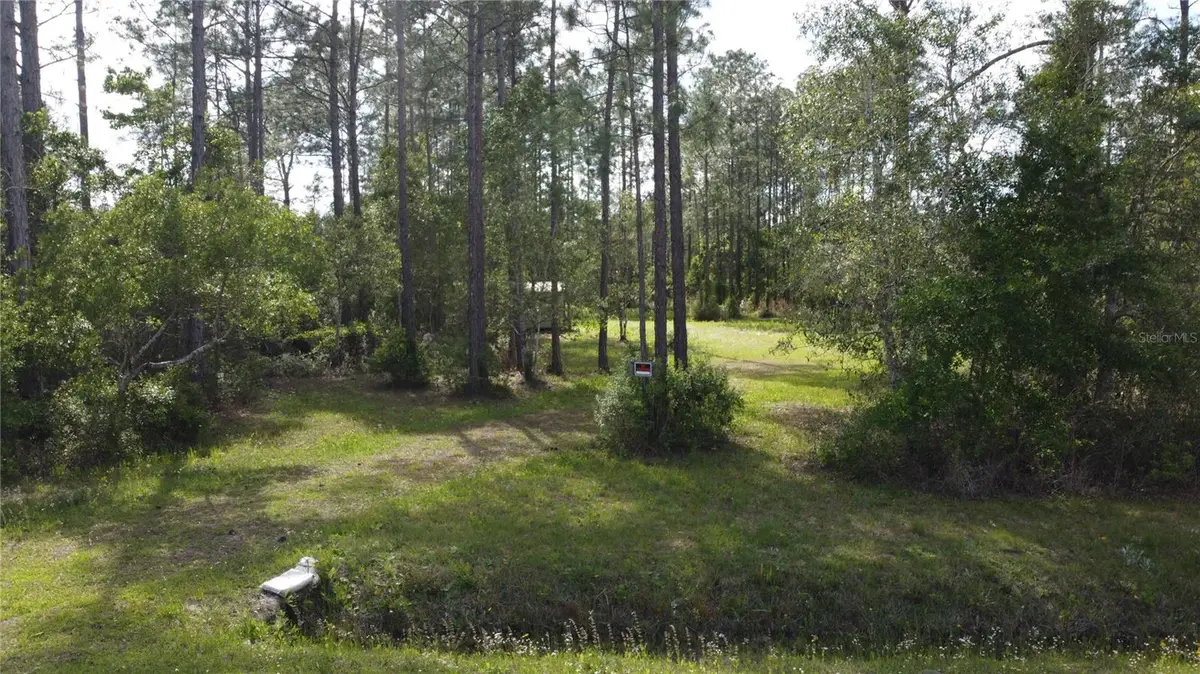 10205 Baylor Avenue, Hastings, FL 32145 - #1
