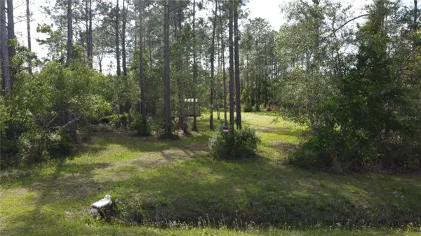 10205 Baylor Avenue, HASTINGS, FL 32145