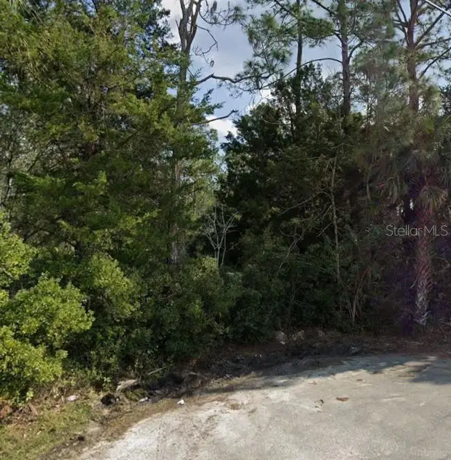 31 Uniondale Place, Palm Coast, FL 32164 - #2