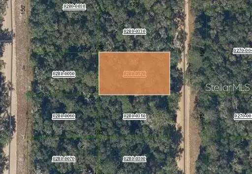 Brett Ave, Interlachen, FL 32148 - #1