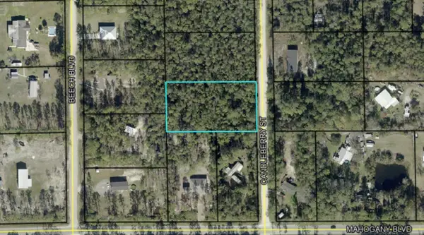 1402 Candleberry Street, BUNNELL, FL 32110