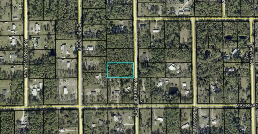 1402 Candleberry Street, Bunnell, FL 32110 - #2