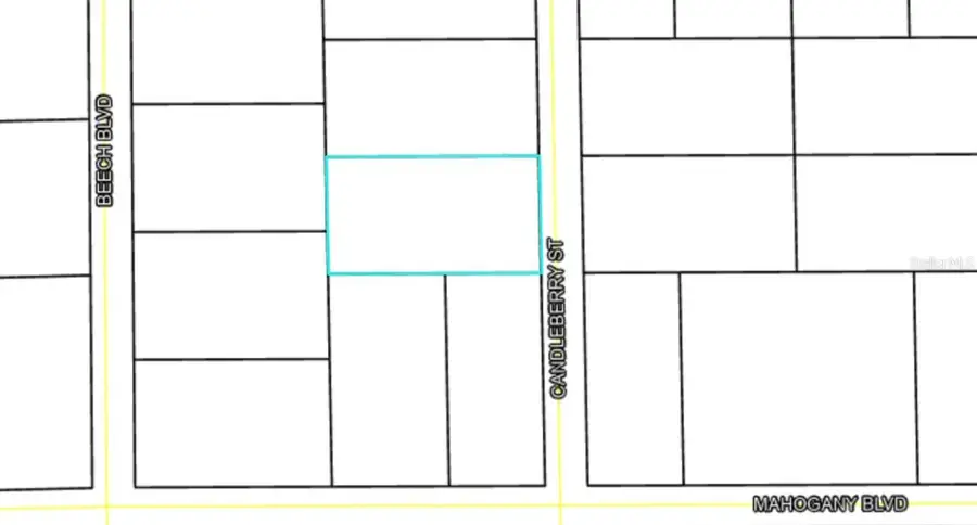 1402 Candleberry Street, Bunnell, FL 32110 - #3