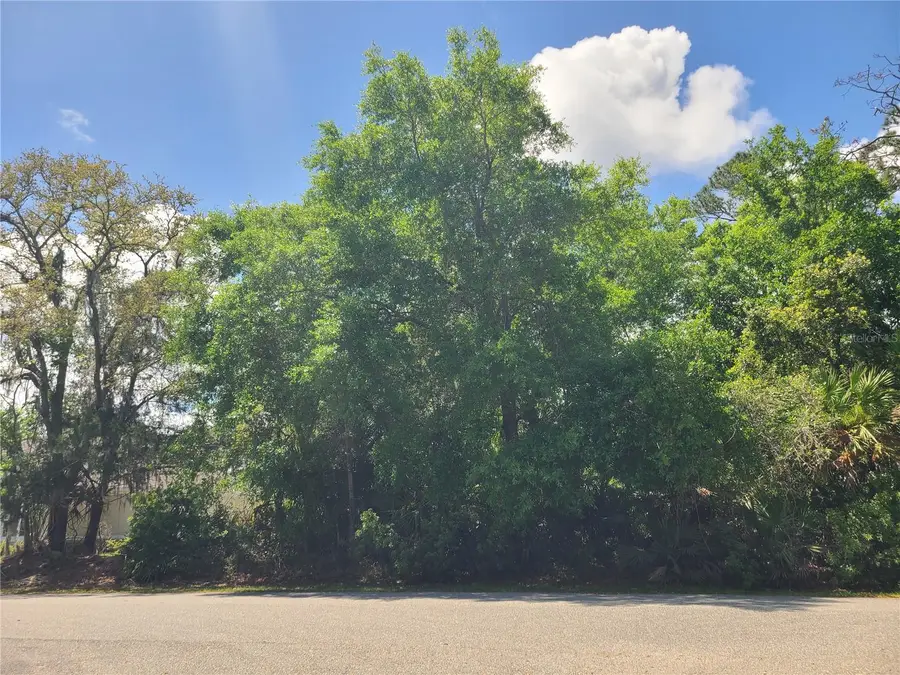 17 Farver Lane, Palm Coast, FL 32137 - #2