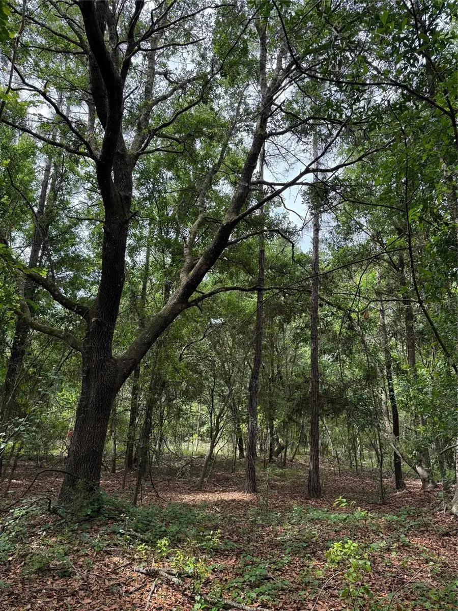 190 Catherine Street, Bunnell, FL 32110 - #2