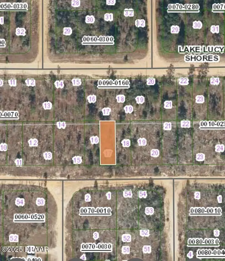154 1st Avenue, Interlachen, FL 32148 - #3