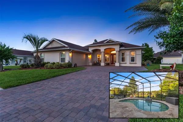 113 Arena Lake Drive, PALM COAST, FL 32137