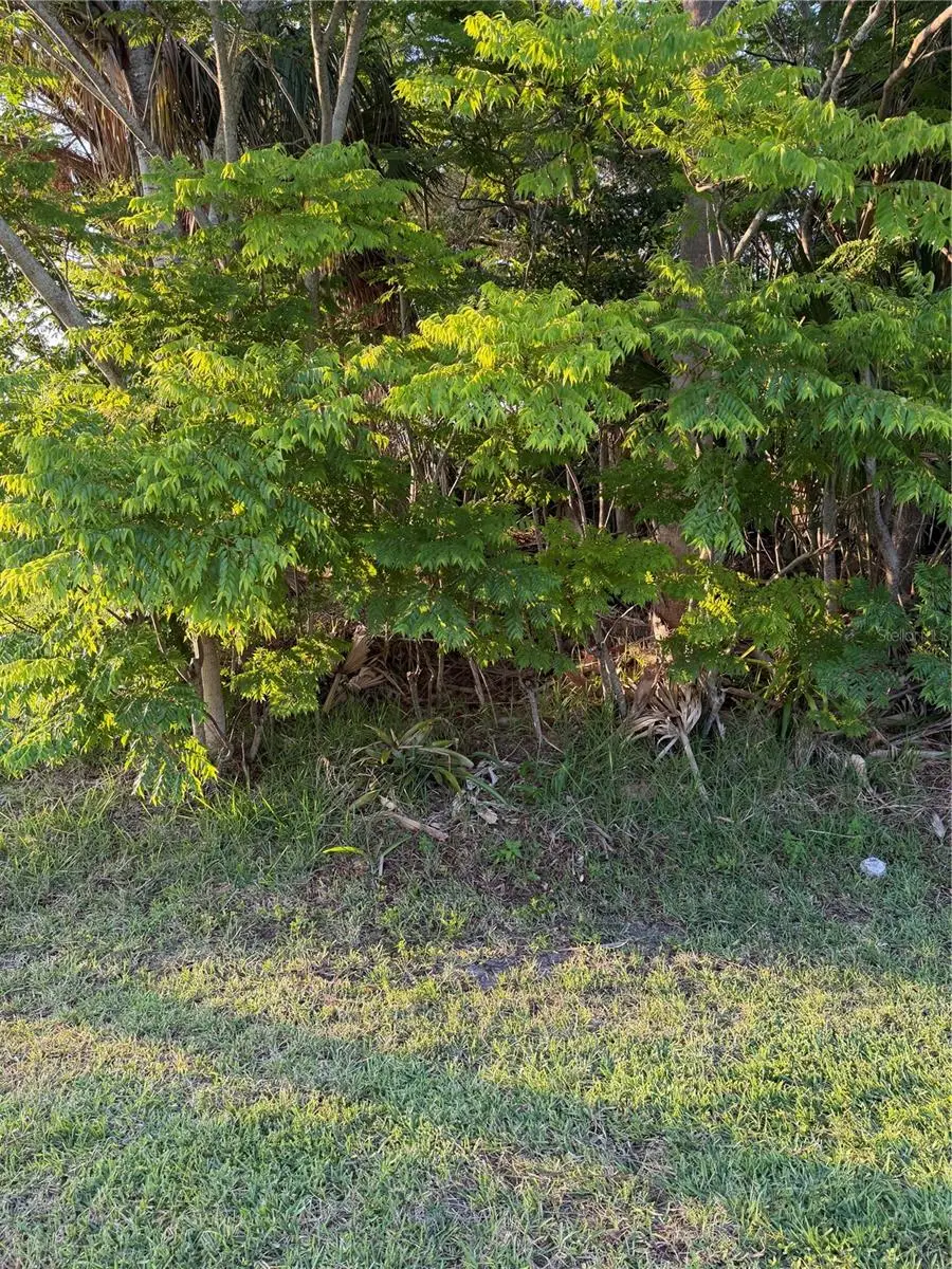 3 Largo Place, Palm Coast, FL 32137 - #1