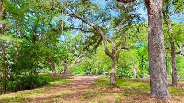 2905 Creek Street, MIDDLEBURG, FL 32068