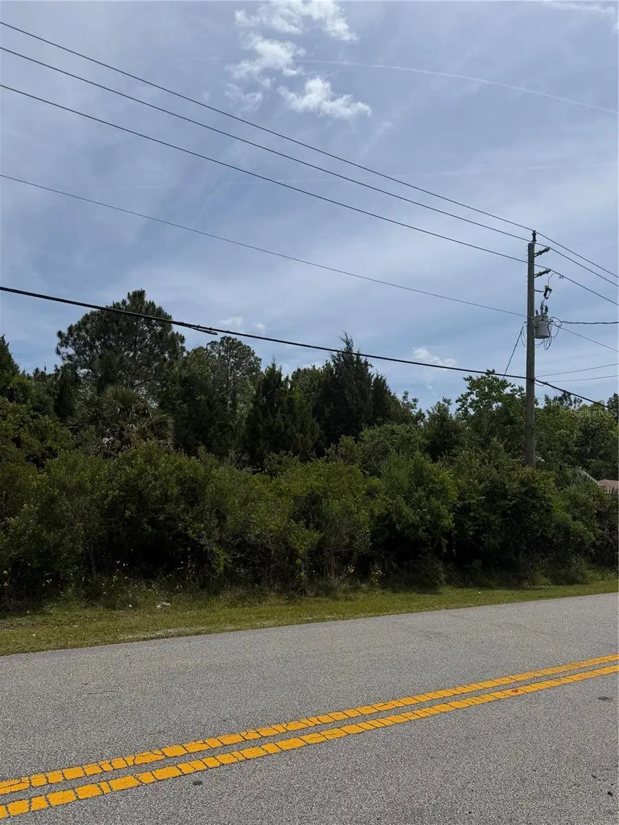 176 Bird Of Paradise Drive, Palm Coast, FL 32137 - #3