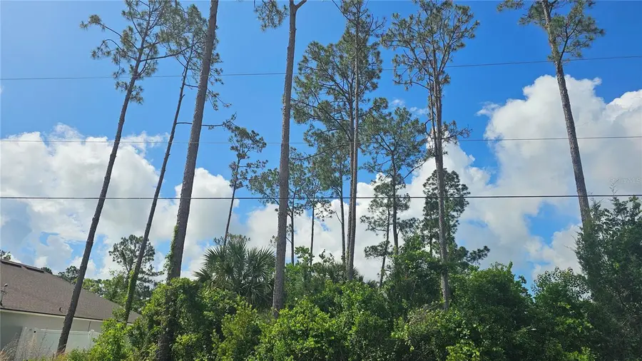 13 Robin Hood Lane, Palm Coast, FL 32164 - #3