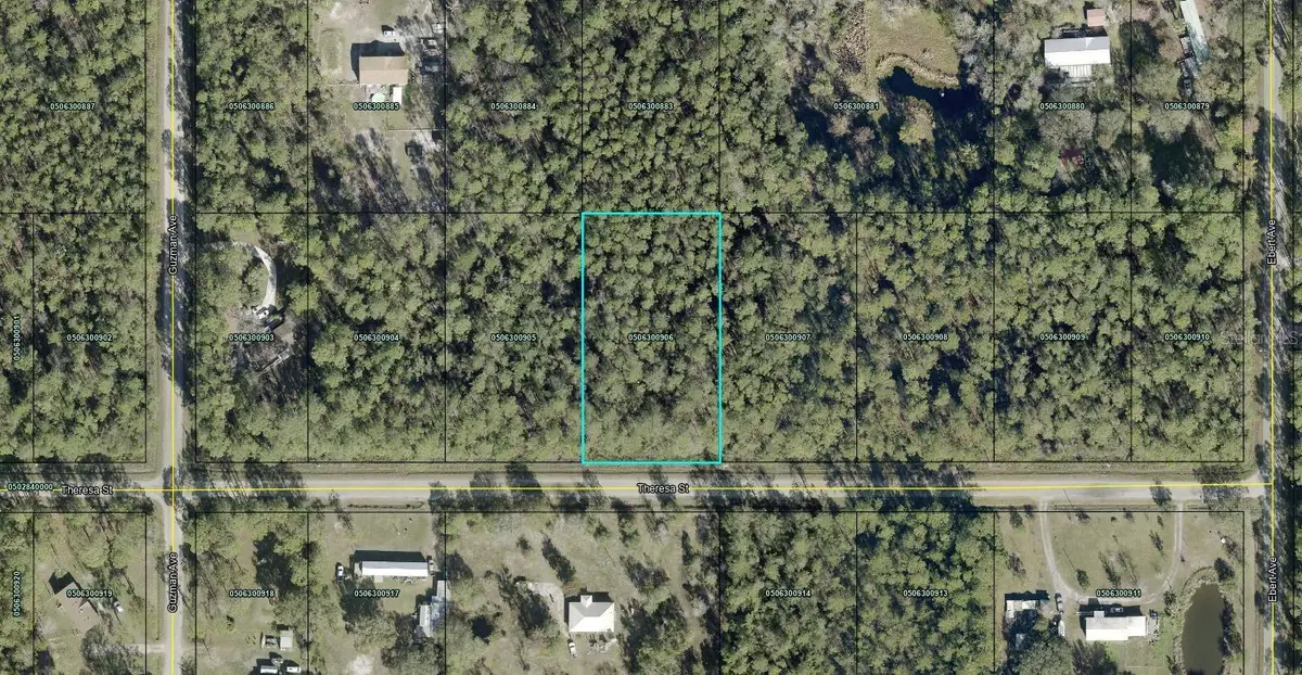 Theresa Street, Hastings, FL 32145 - #1