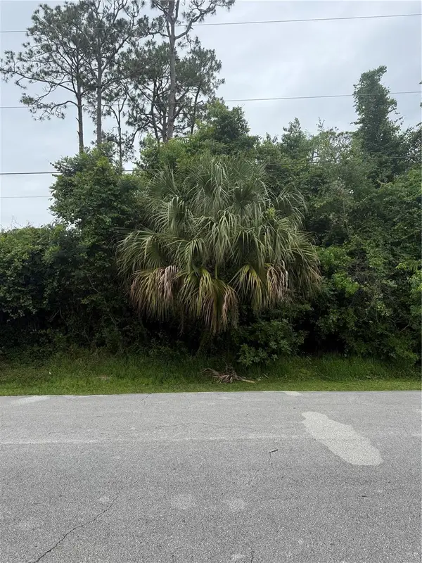 15 Pepper Lane, PALM COAST, FL 32164