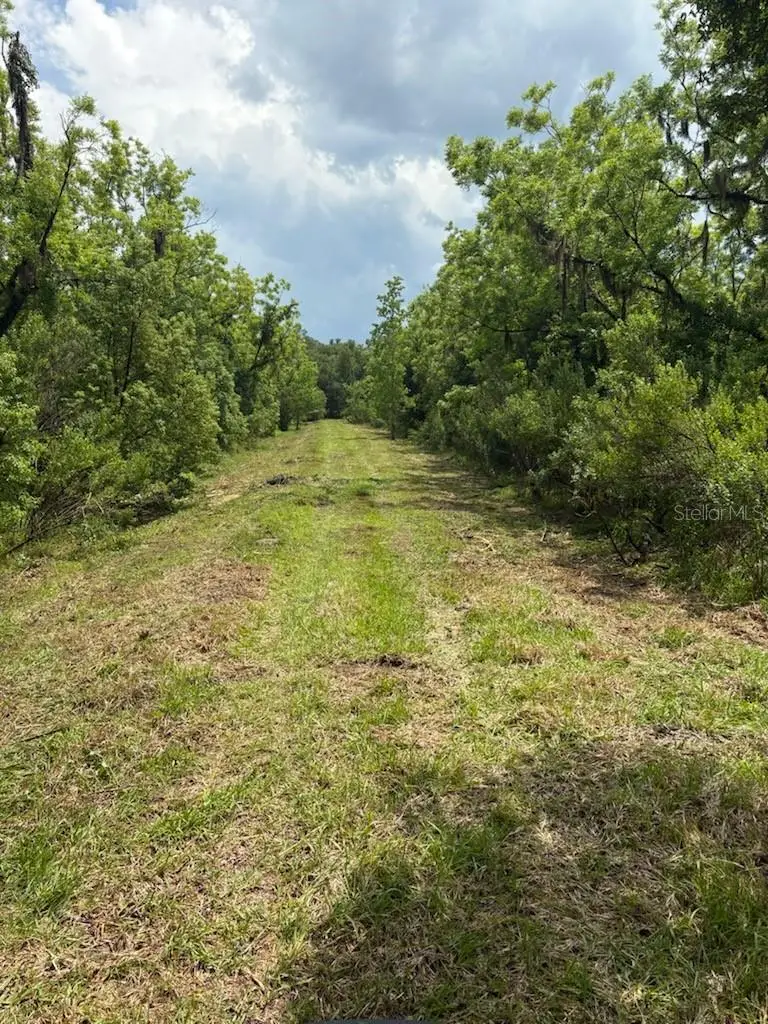 459 County Road 2006 E, Bunnell, FL 32110 - #2