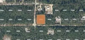 XX Pine Way, Interlachen, FL 32148 - #2