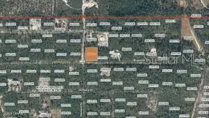 XX Pine Way, Interlachen, FL 32148 - #3