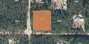 XX Boston Ave, Interlachen, FL 32148 - #1