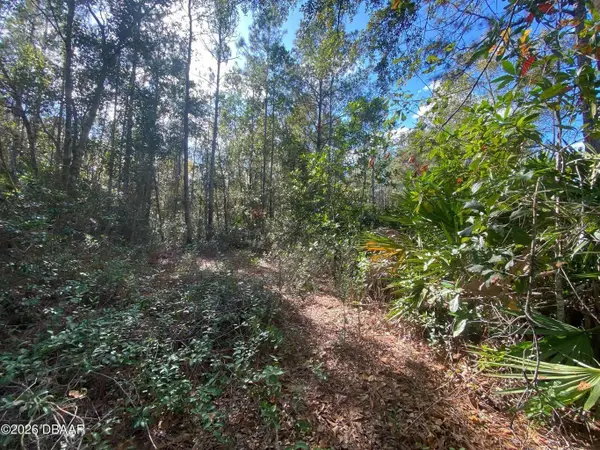 820 Old Bubbly Road, PIERSON, FL 32180