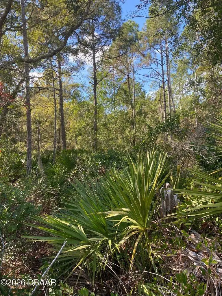 820 Old Bubbly Road, Pierson, FL 32180 - #2