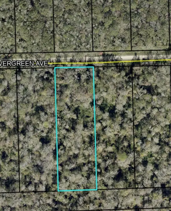 3655 Evergreen Avenue, BUNNELL, FL 32110