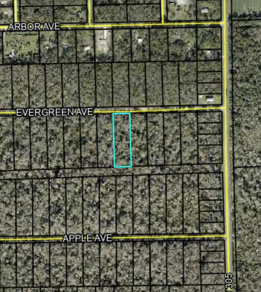 3655 Evergreen Avenue, Bunnell, FL 32110 - #2