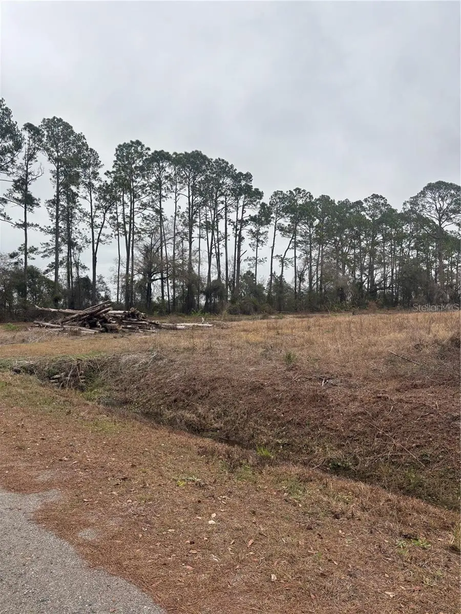 9600 Light Avenue, Hastings, FL 32145 - #1