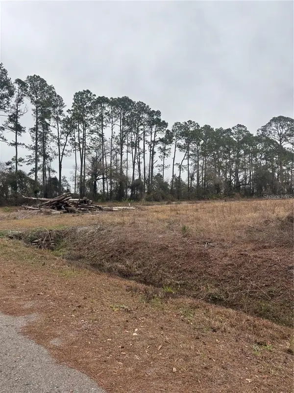 9600 Light Avenue, HASTINGS, FL 32145