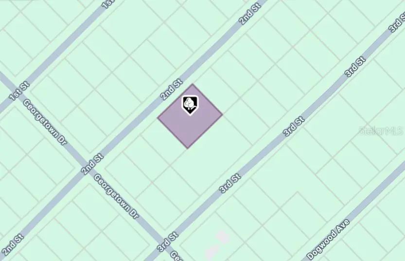 207 SE 2nd Street, Georgetown, FL 32139 - #2
