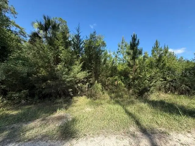 County Road 75, Bunnell, FL 32110 - #1