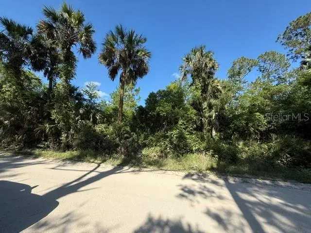 County Road 75, Bunnell, FL 32110 - #2