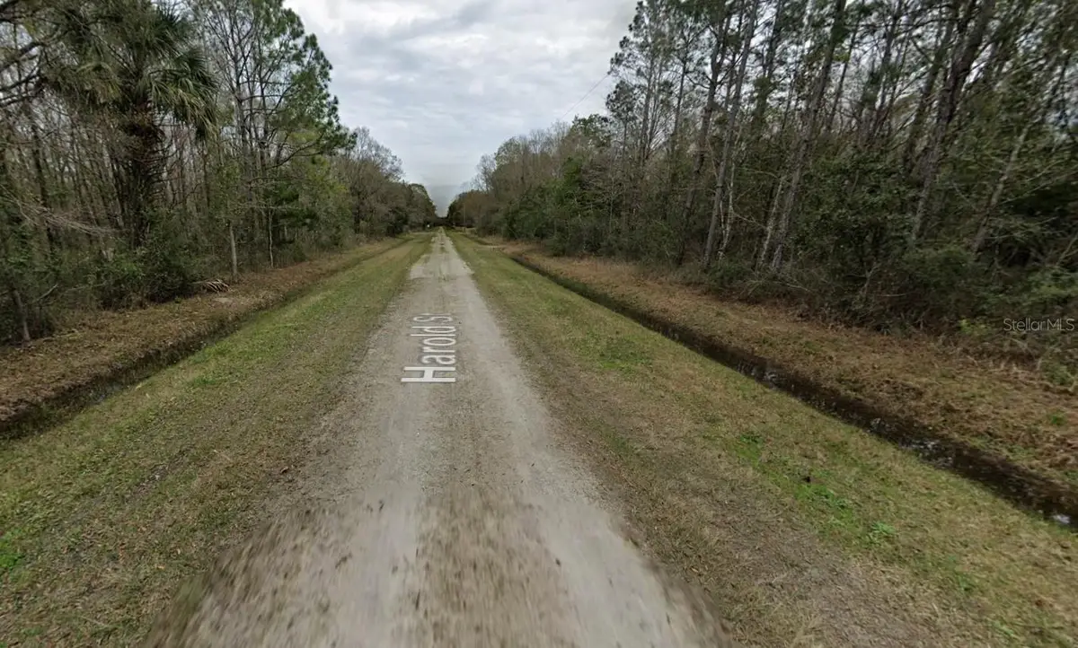 4530 Harold Street, Hastings, FL 32145 - #1