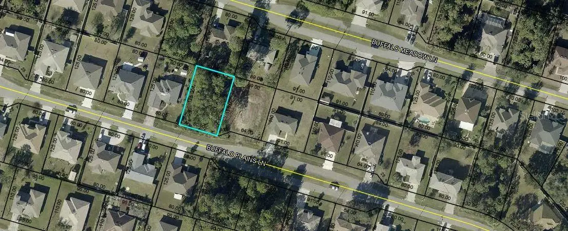 18 Buffalo Plains Lane, Palm Coast, FL 32137 - #1