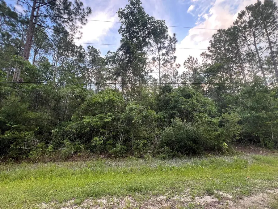 1411 Elder Street, Bunnell, FL 32110 - #2