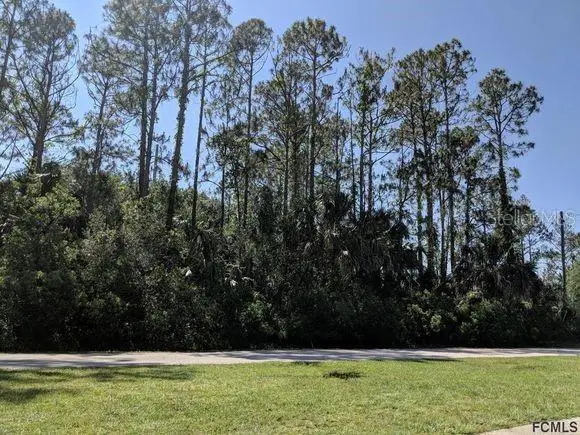 32 Serbian Bellflower Trail, Palm Coast, FL 32164 - #1