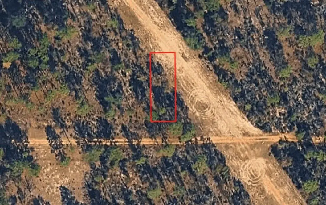 XX Birch Ave, Interlachen, FL 32148 - #1