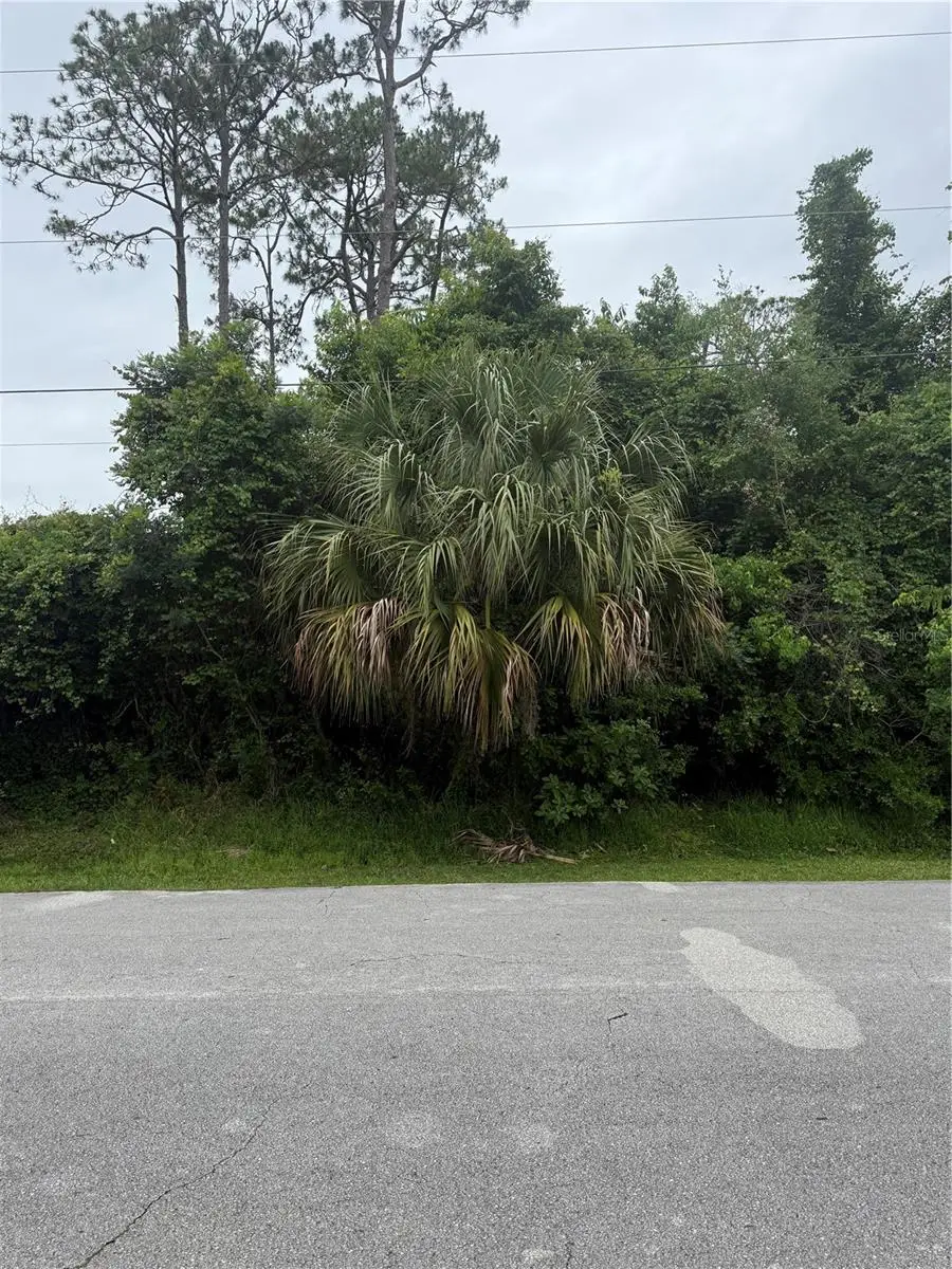 38 Squash Blossom Trail, Palm Coast, FL 32164 - #1