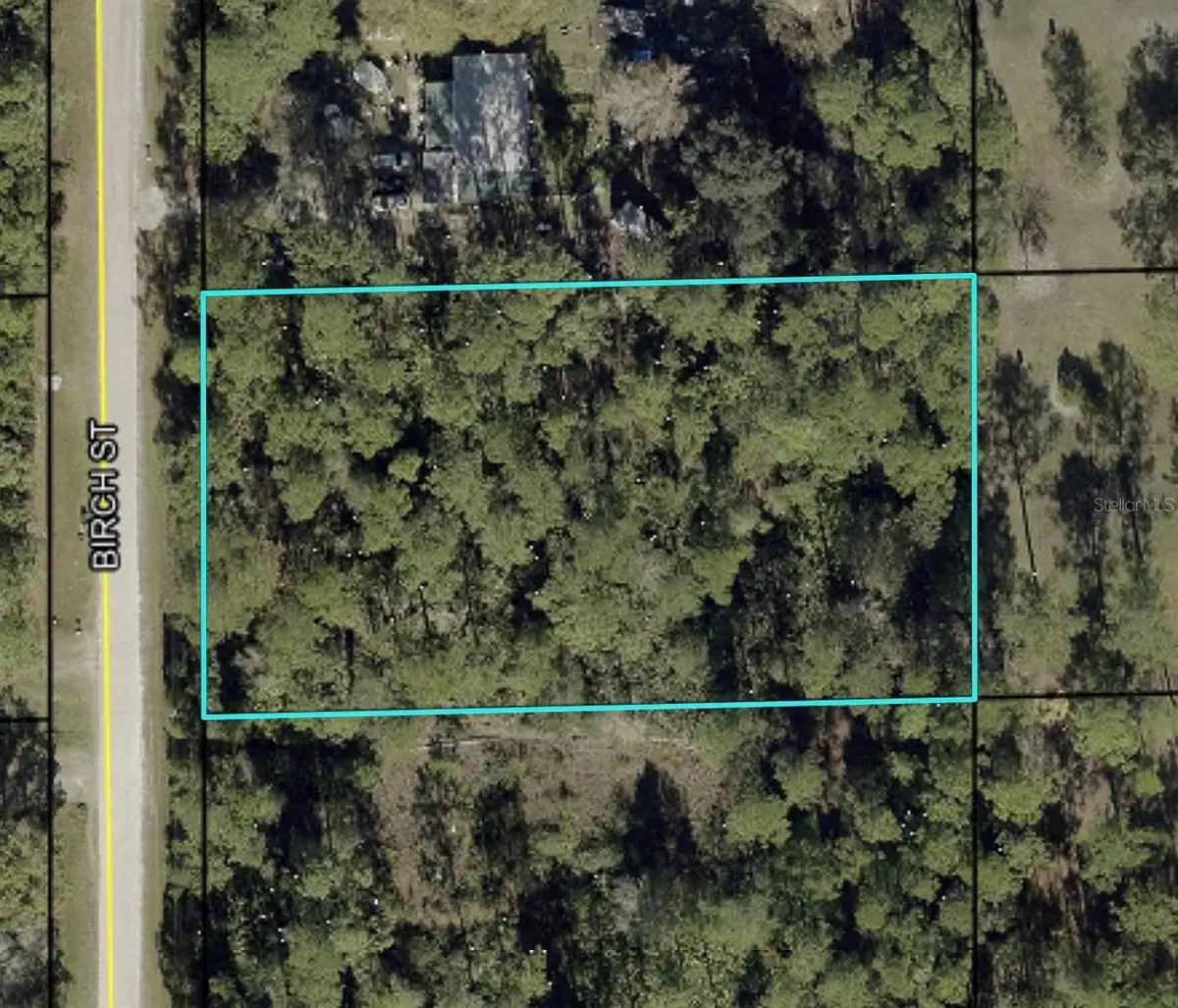 1115 Birch Street, Bunnell, FL 32110 - #1