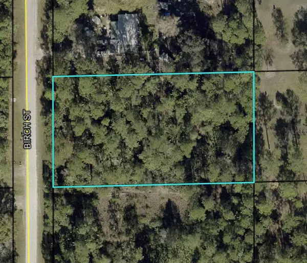 1115 Birch Street, BUNNELL, FL 32110