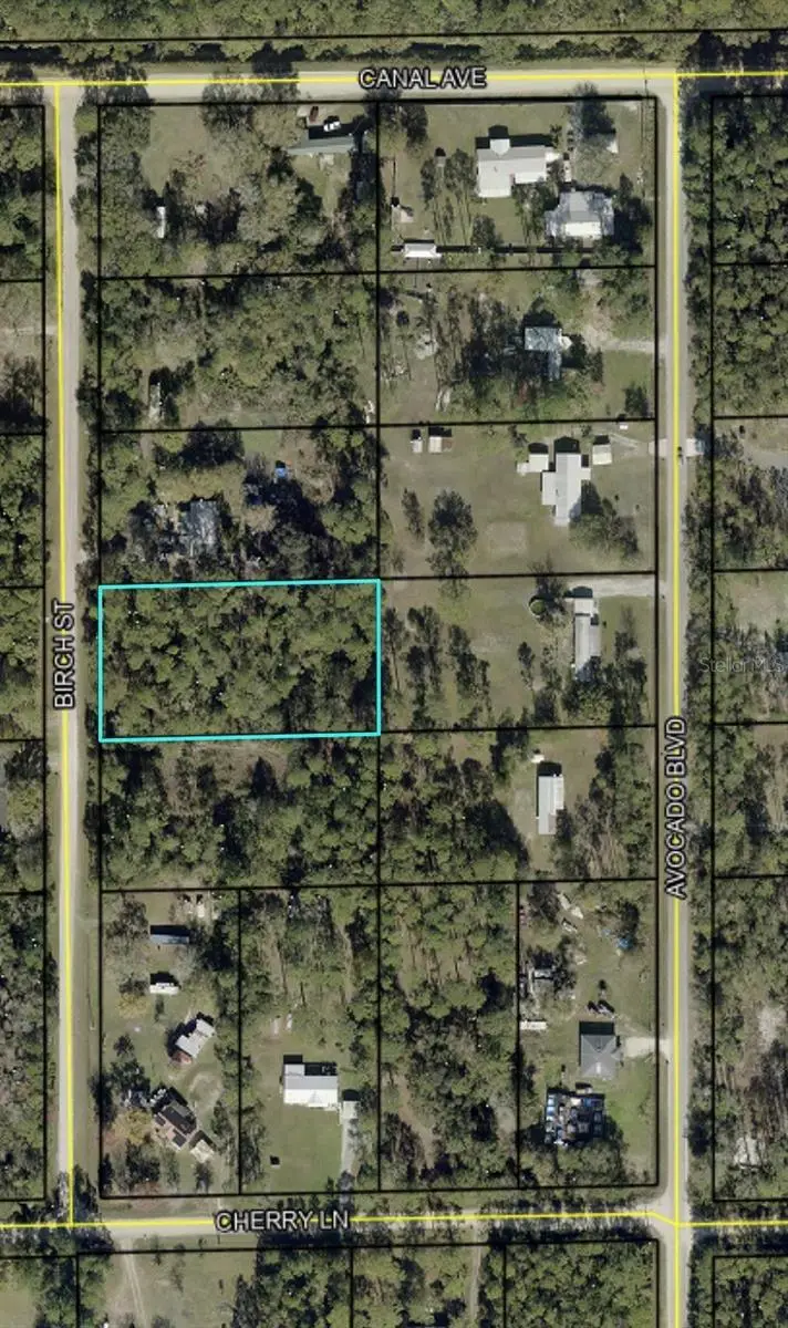 1115 Birch Street, Bunnell, FL 32110 - #2