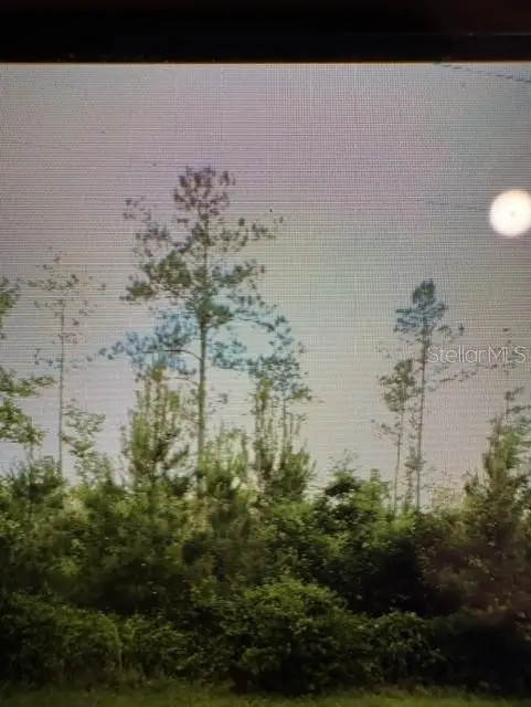 County Road 305, BUNNELL, FL 32110