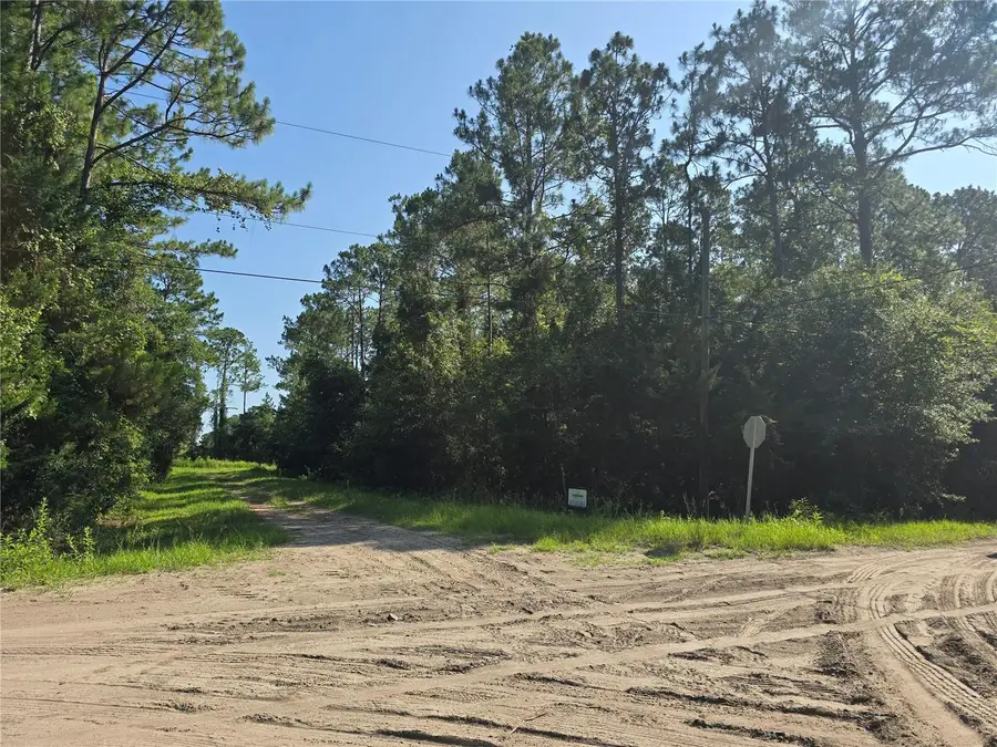 5446 Mango Avenue, Bunnell, FL 32110 - #2