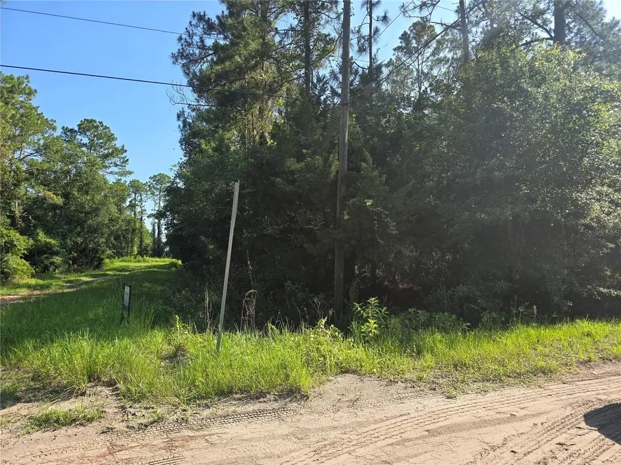 5446 Mango Avenue, Bunnell, FL 32110 - #3