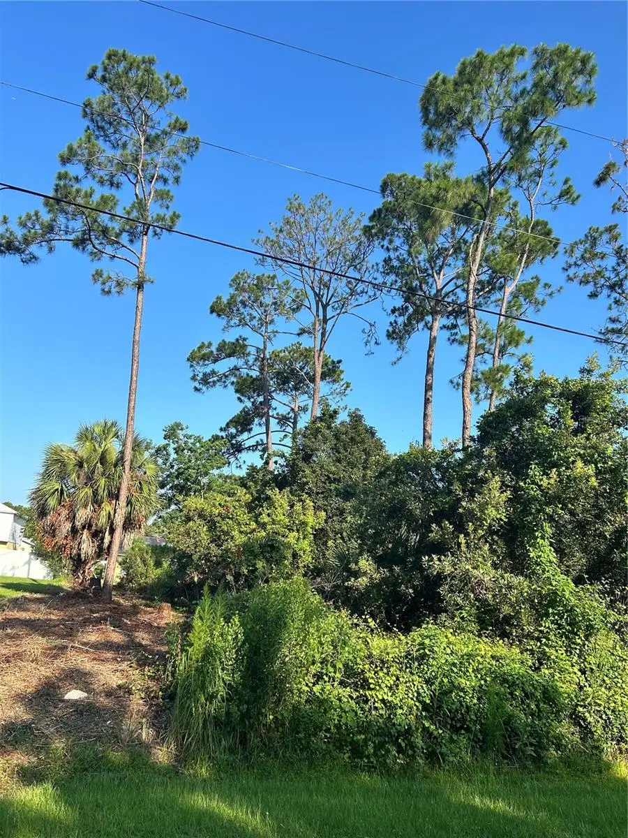 4 Ryberry Drive, Palm Coast, FL 32164 - #3